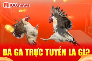 Đá gà trực tuyến