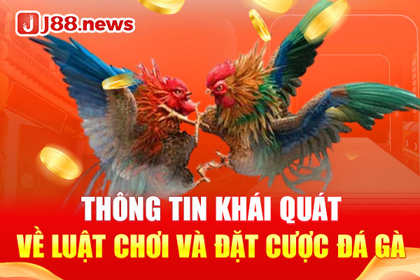 Thông tin khái quát về luật chơi và đặt cược đá gà